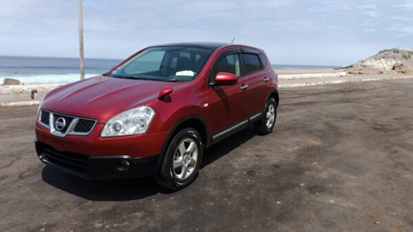 NISSAN DUALIS - Imagen 5