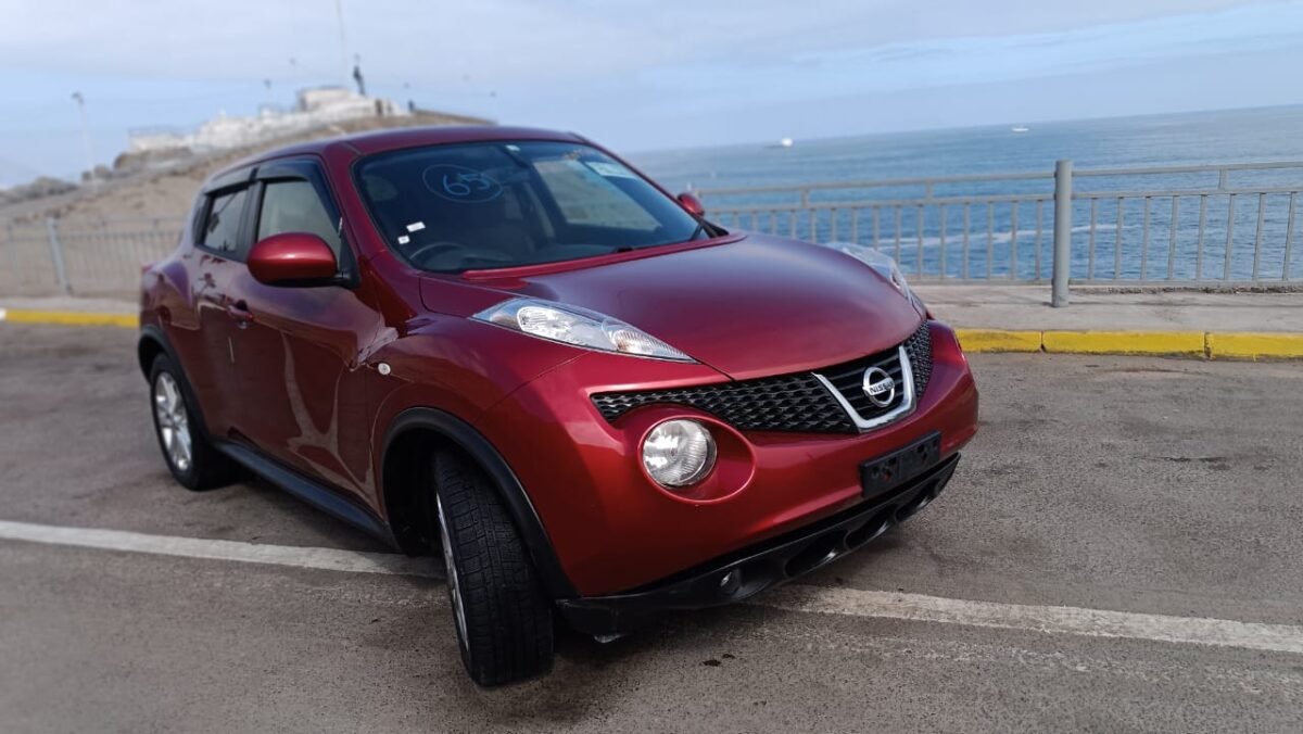 NISSAN JUKE - Imagen 19