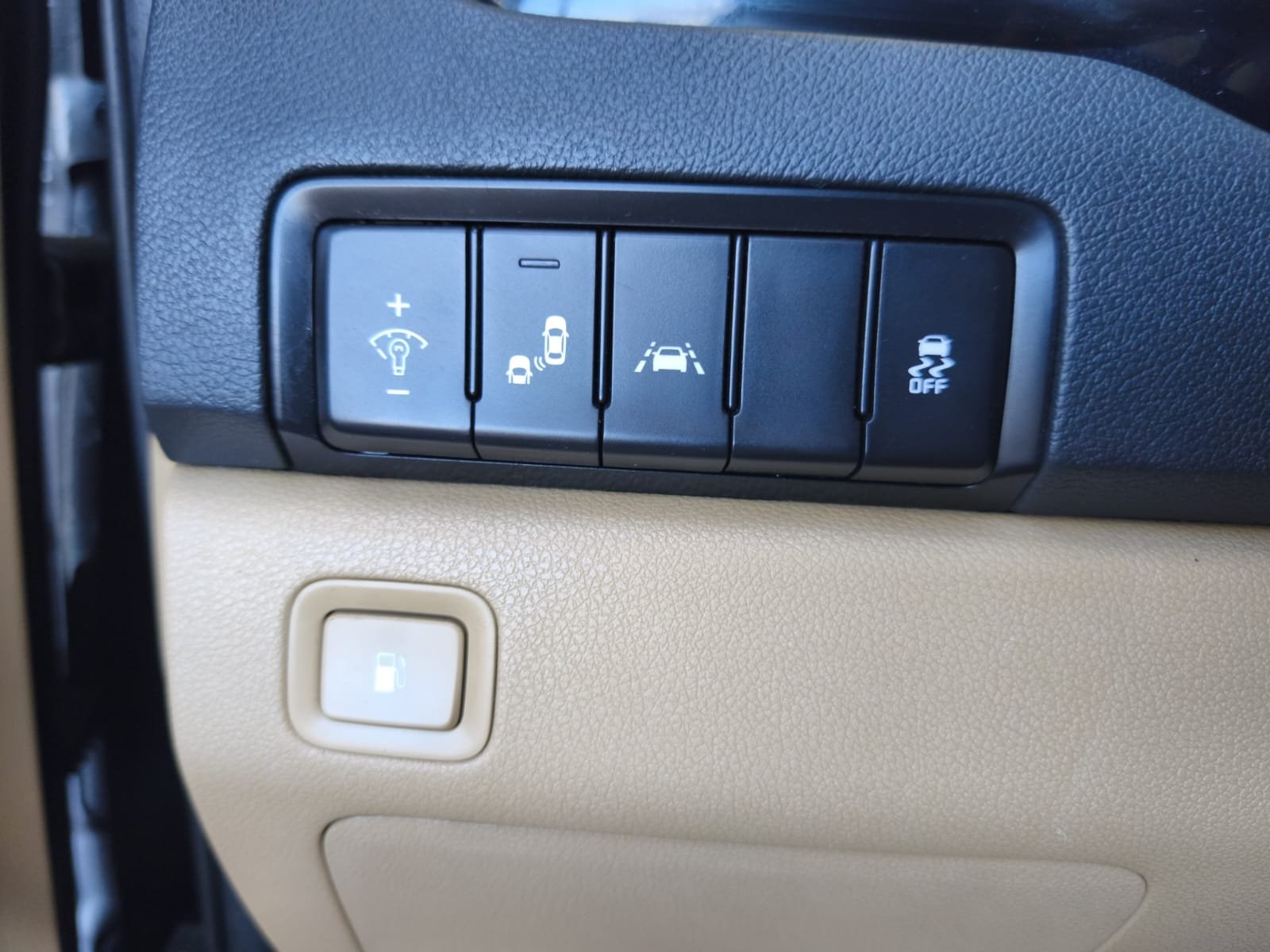 KIA CARNIVAL LIMUSINE - Imagen 14