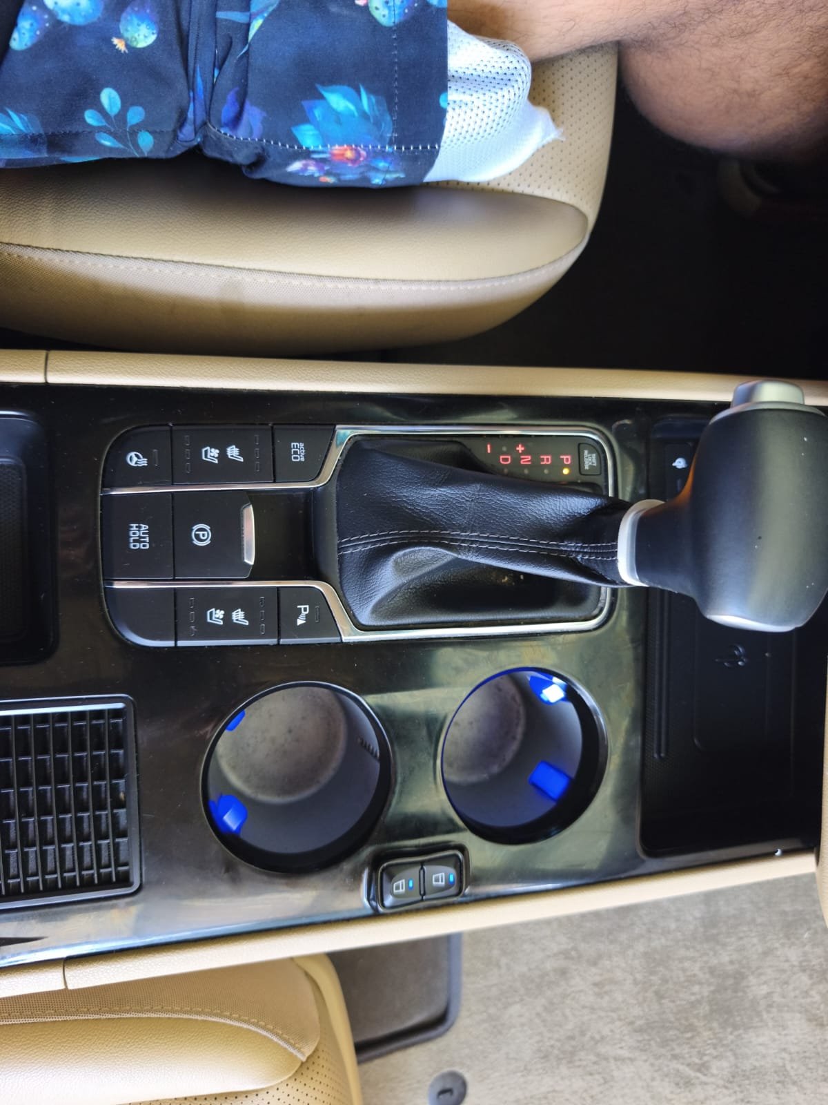 KIA CARNIVAL LIMUSINE - Imagen 18