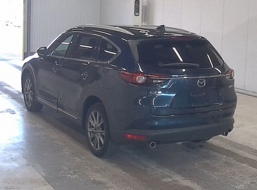 MAZDA CX 8 - Imagen 5