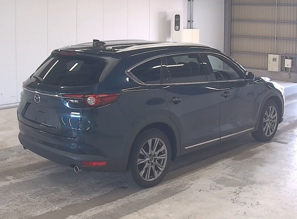 MAZDA CX 8 - Imagen 6
